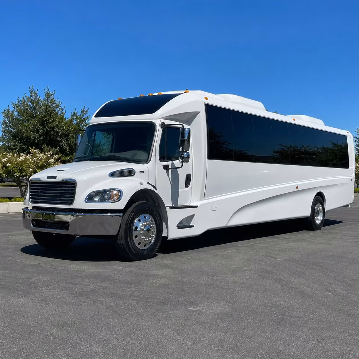 chico 18 passenger minibus rental